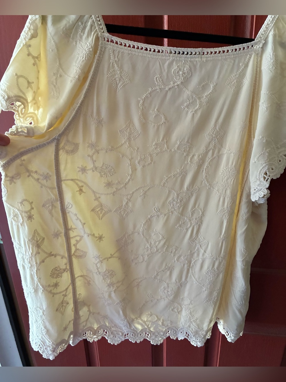 Democracy Ivory Embroidered Boho Blouse Lace Trim Flutter Sleeve Size Large - Picture 7 of 9